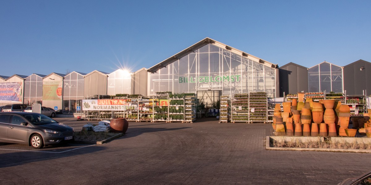 Billig Blomst åbner på JF-grunden med kæmpe butik på 9.000 m2